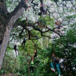 500707763_712686804615420_5164681355308437125_n