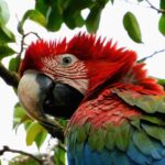 506048350_725283403355760_3059653918753735278_n