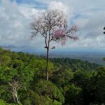 542153254_789639856920114_6931671510316615107_n